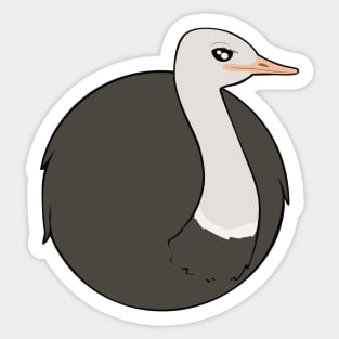 Bird Balls - Ostrich Sticker